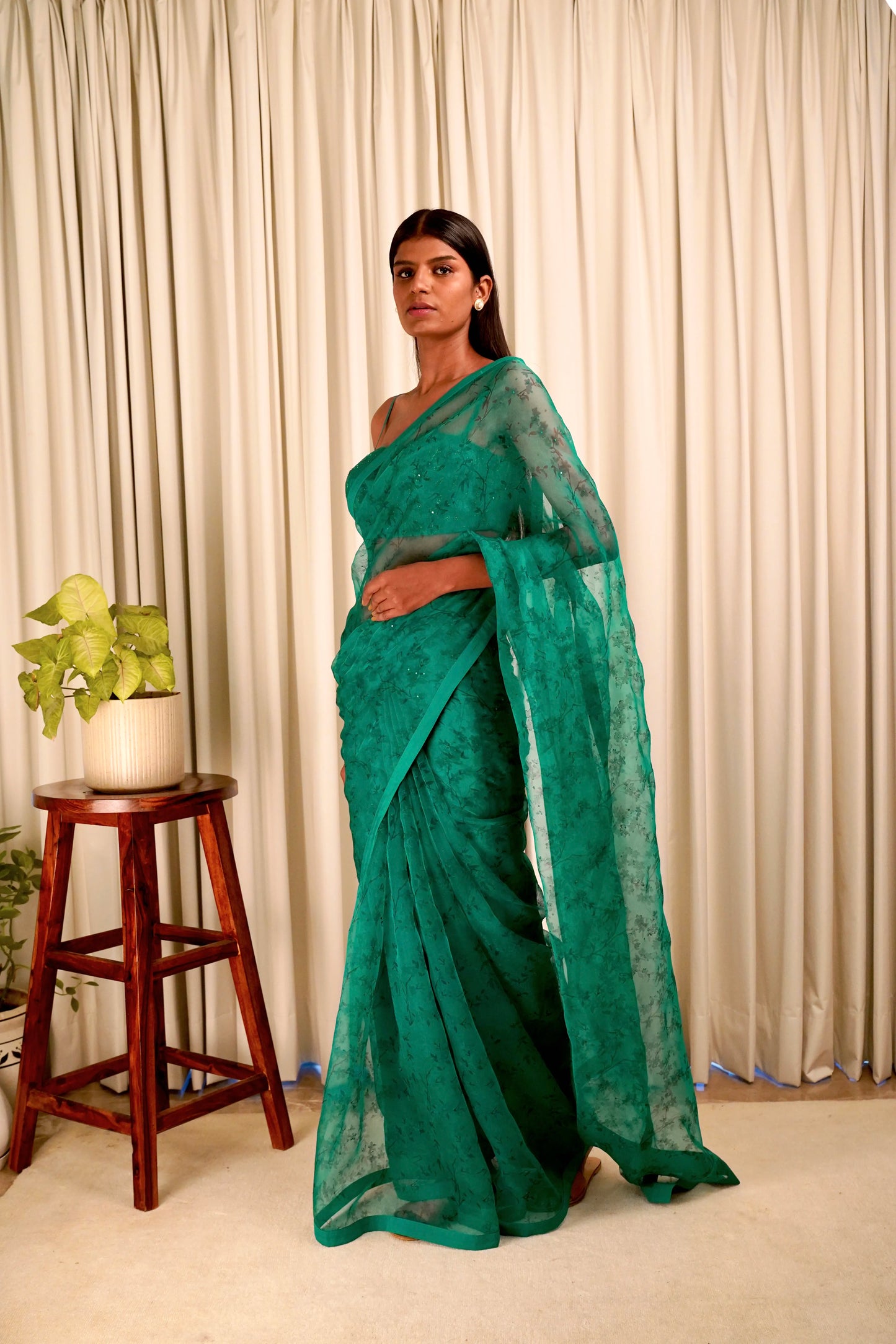 Baag Emerald Saree
