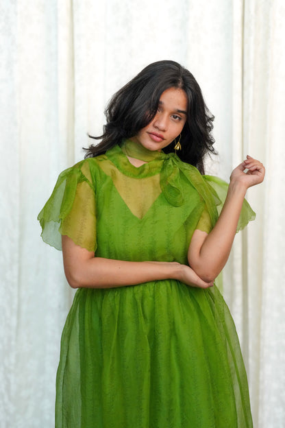 Wild vine Organza dress