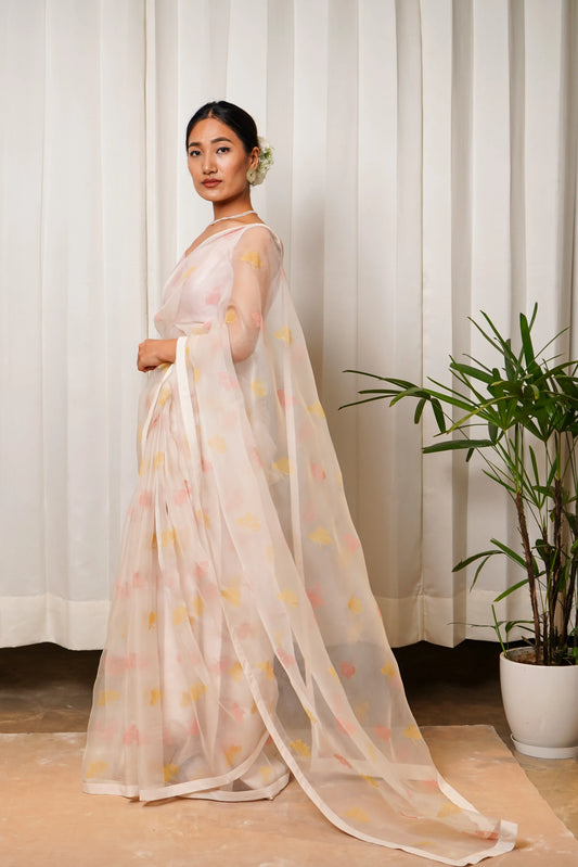 Bougainvillea sari